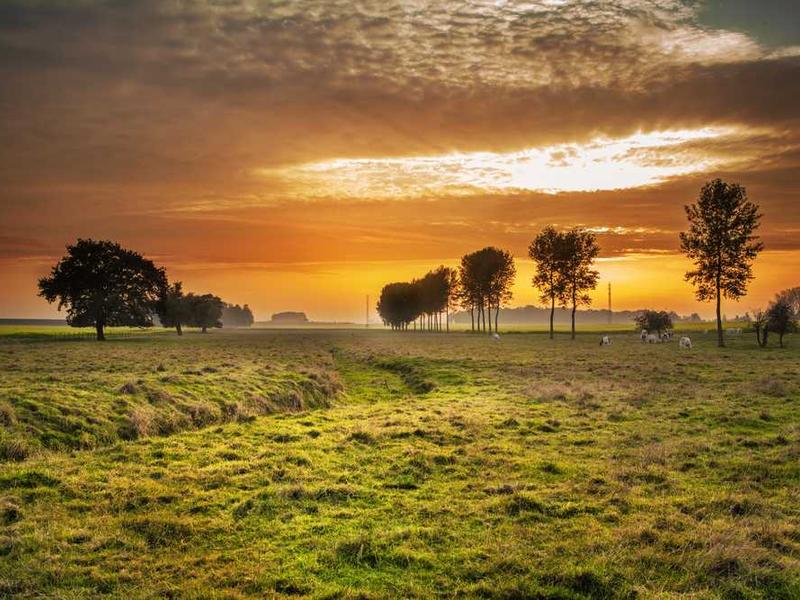 Лофт в индустриальном стиле
