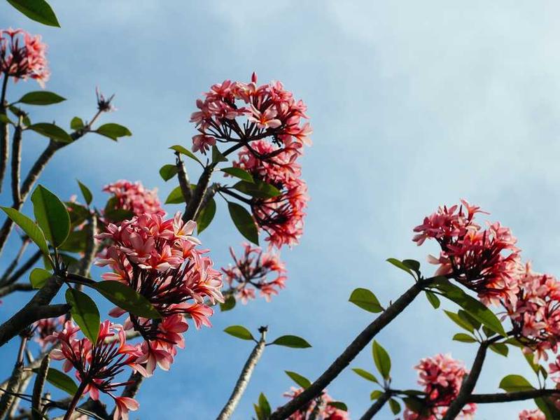 1BR рядом с метро